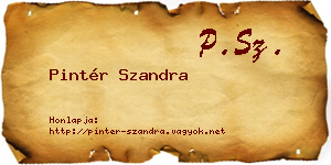 Pintér Szandra névjegykártya
